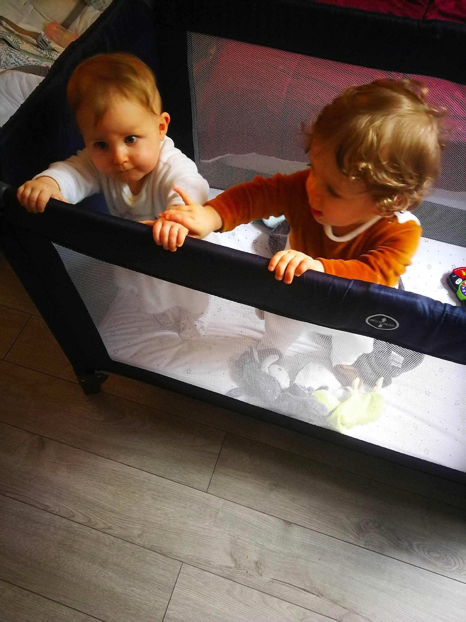 Manonflorent a rejoint le concours — aidez-le/la à gagner de superbes lots ! automotive_exterior, baby, baby_products, baby_safety, baby_toddler_clothing, box, child, comfort, flooring, fun, happy, hardwood, head, person, play, rectangle, room, sitting, toddler, tree