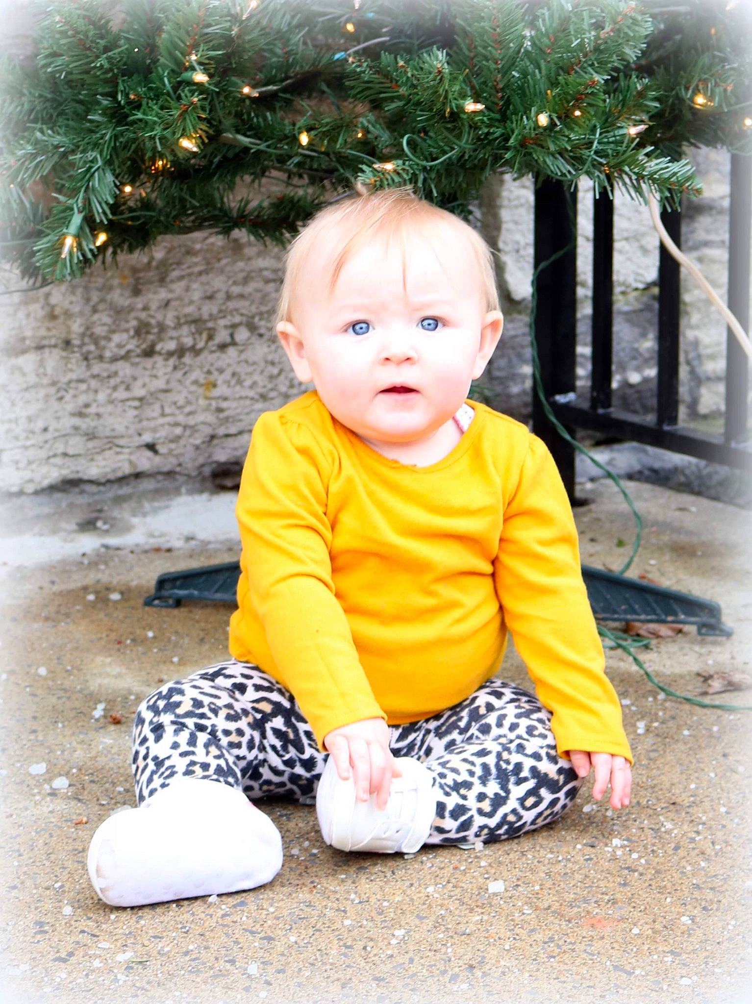 Paislee is registered to the contest to win money with this photo: baby, baby_toddler_clothing, child, christmas_tree, conifer, fir, grass, happy, holiday, mammal, ornament, pattern, people_in_nature, person, plant, portrait_photography, sitting, sleeve, toddler, tree