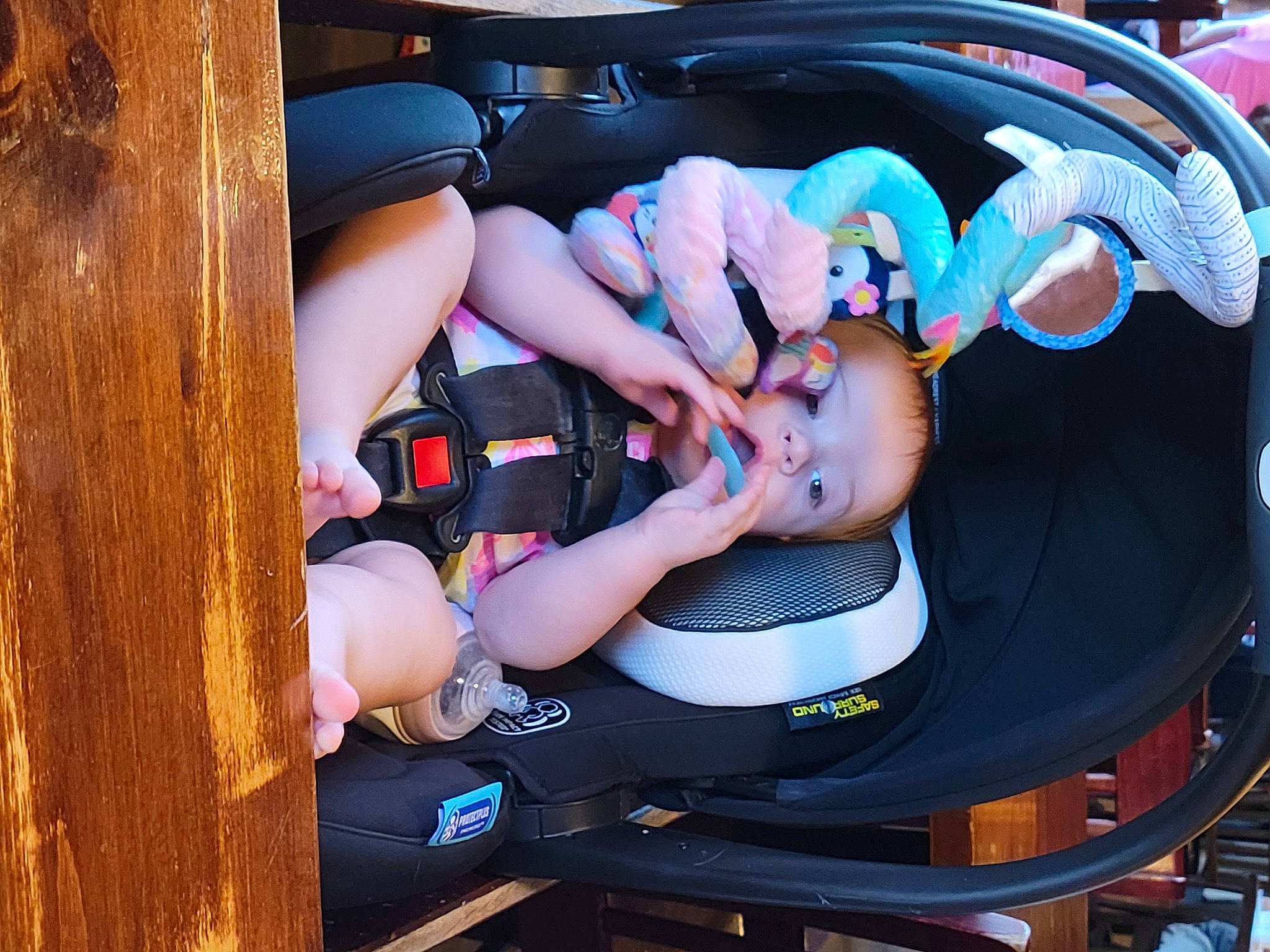 Ryatt joined the competition — help win amazing prizes! auto_part, automotive_design, automotive_exterior, automotive_wheel_system, baby, baby_carriage, baby_products, car_seat, child, fun, leisure, luxury_vehicle, motor_vehicle, person, personal_protective_equipment, recreation, steering_wheel, thigh, toddler, vacation