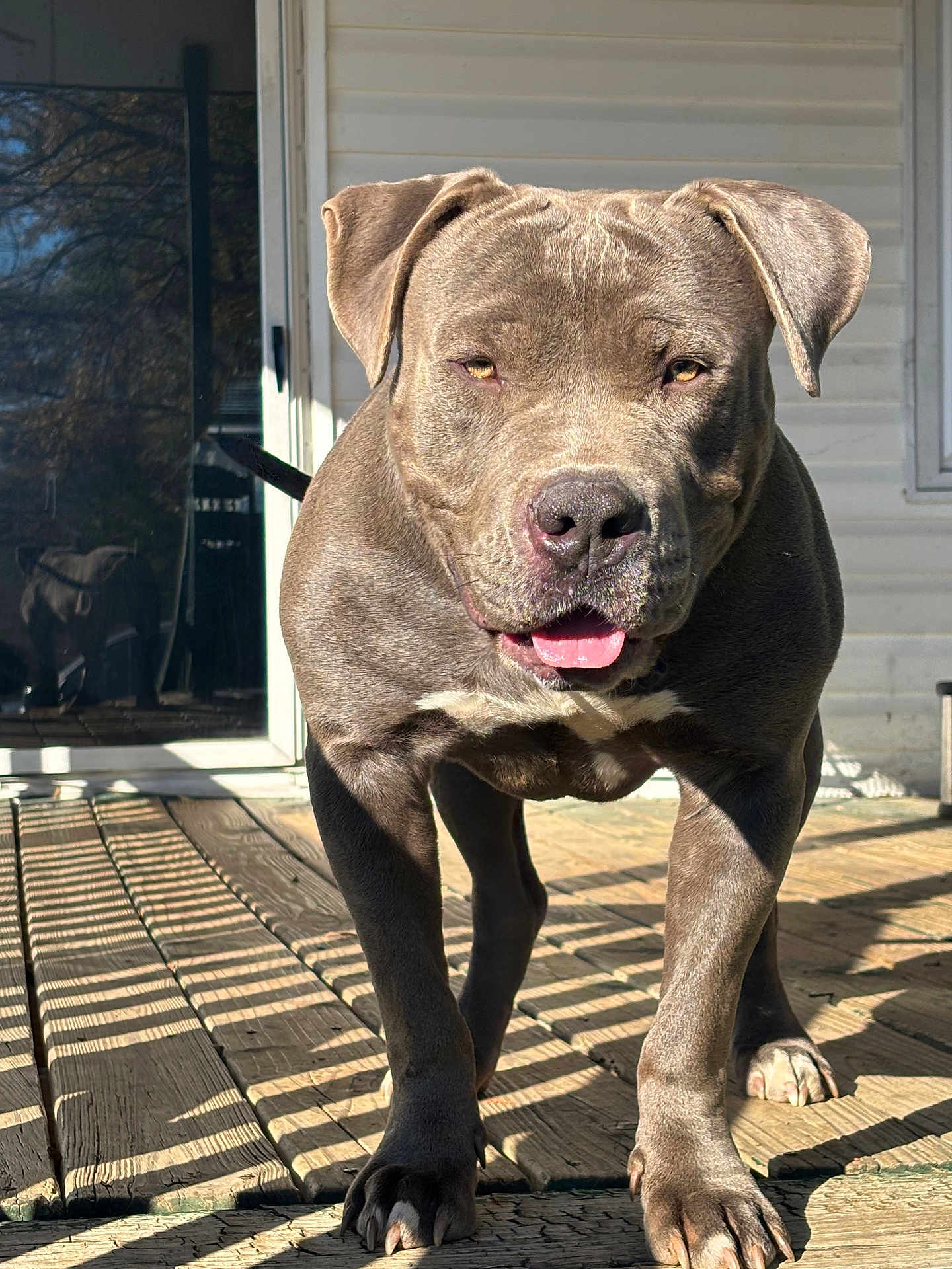 Gangster Of The Year