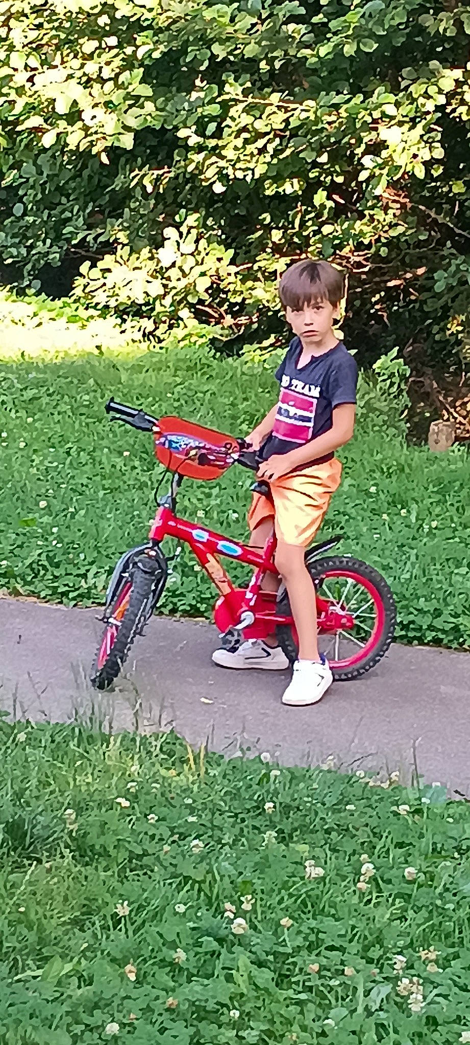 Marco Novais participe au concours pour gagner de l'argent avec cette photo : bicycle, bicycle_accessory, bicycle_fork, bicycle_frame, bicycle_handlebar, bicycle_part, bicycle_saddle, bicycle_tire, bicycle_wheel, bicycles_equipment_and_supplies, grass, leg, leisure, outdoor_recreation, people_in_nature, person, plant, sneakers, tire, vehicle