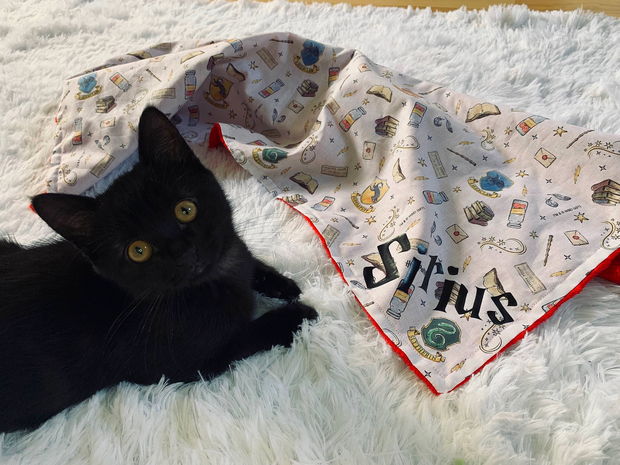 Sirius a rejoint le concours — aidez-le/la à gagner de superbes lots ! art, black_cat, bombay, carmine, carnivore, cat, domestic_short_haired_cat, fashion_accessory, felidae, font, fur, grey, linens, pattern, paw, small_to_medium_sized_cats, snout, tail, whiskers, winter