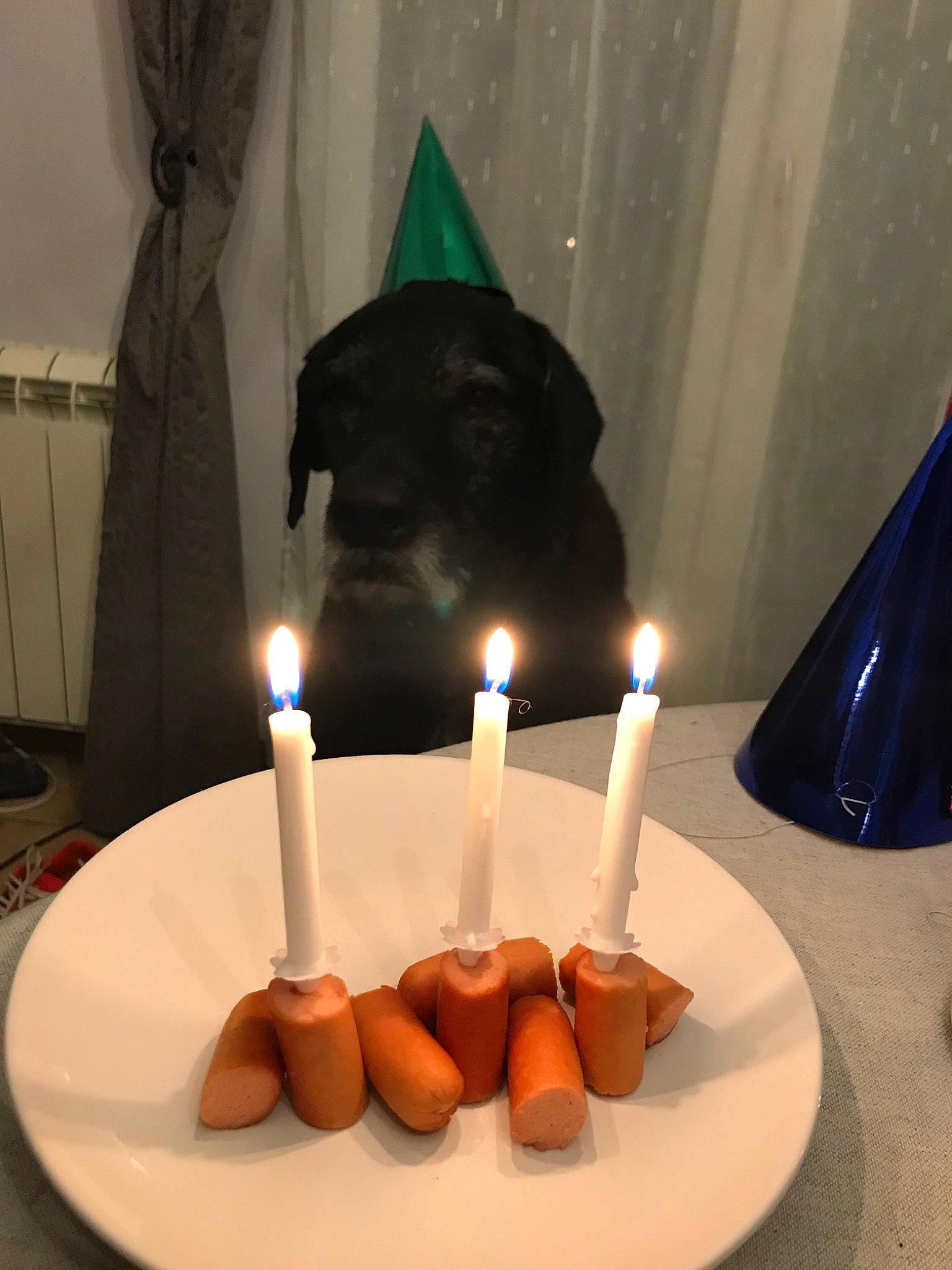 Falco a rejoint le concours — aidez-le/la à gagner de superbes lots ! candle, interior_design, lighting