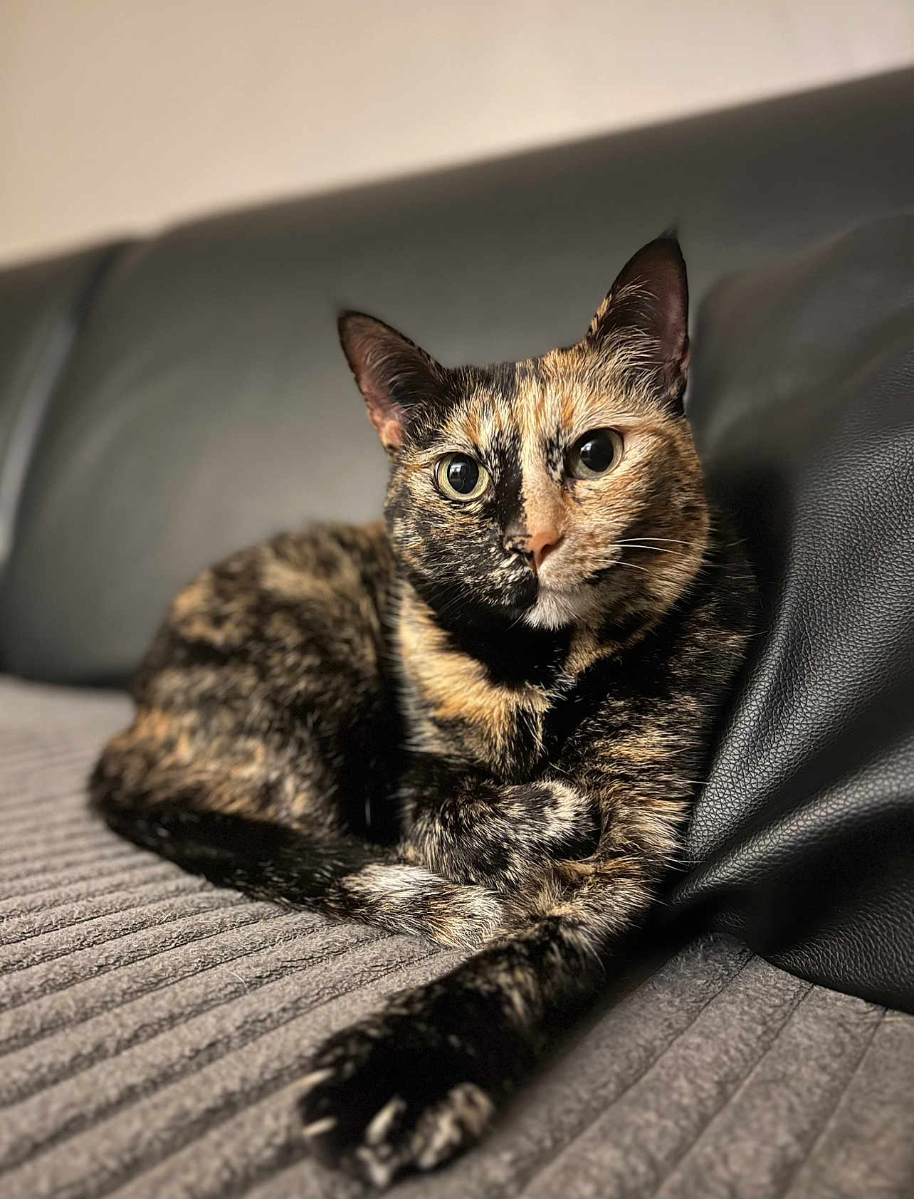 Praline