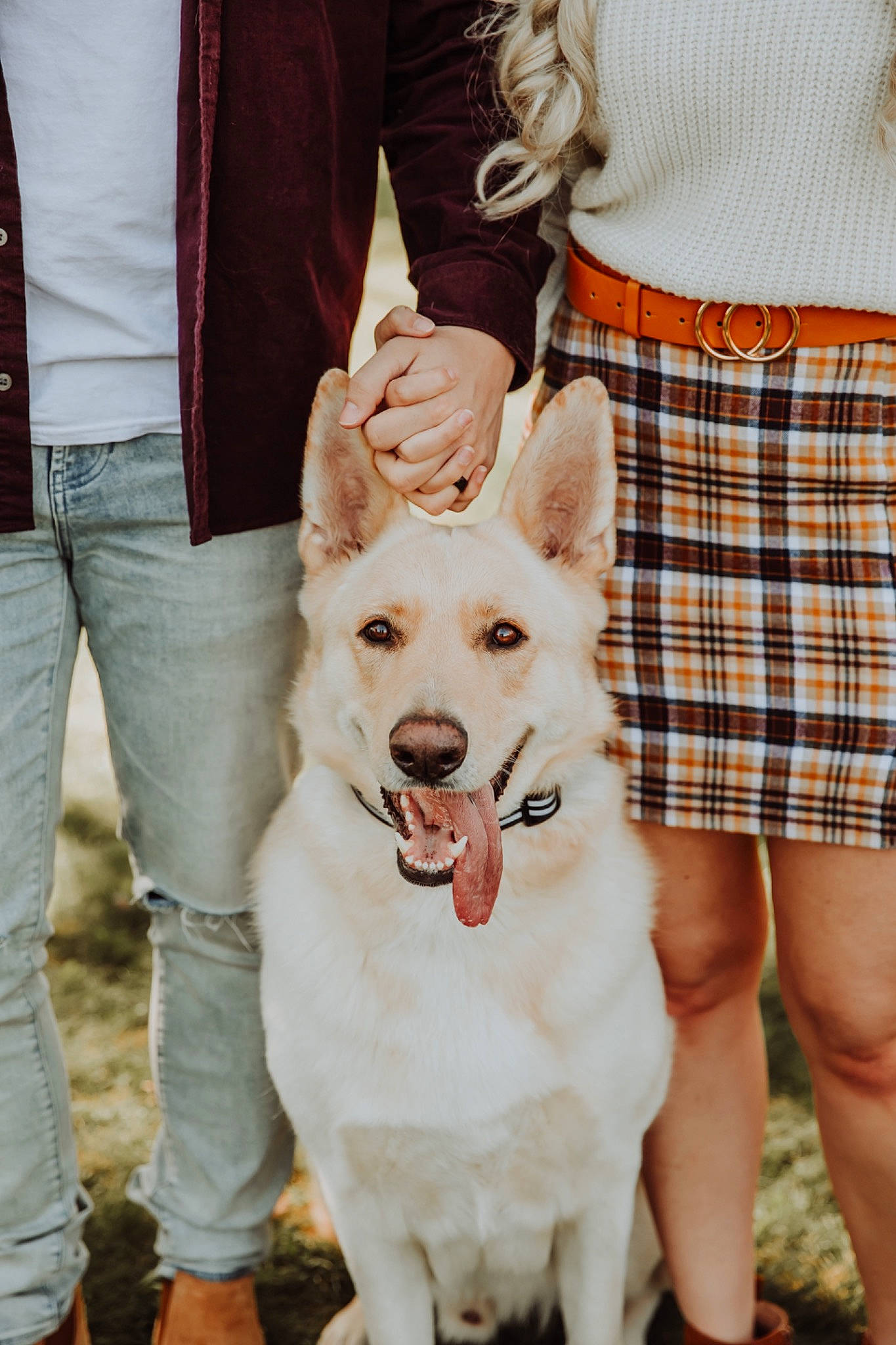 Dax is registered to the contest to win money with this photo: carnivore, clothing, companion_dog, denim, dog, dog_breed, fawn, foot, footwear, fun, happy, human_leg, leash, leg, plaid, shoe, sneakers, tartan, thigh, white