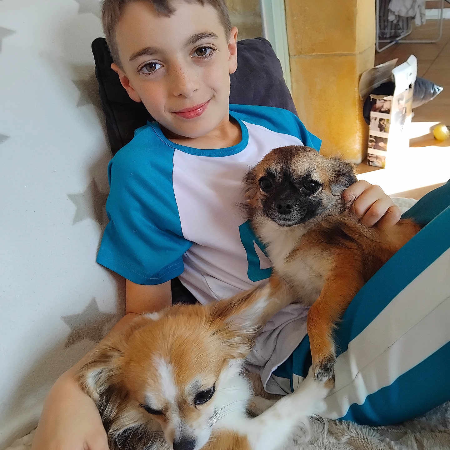 Gabriel a rejoint le concours — aidez-le/la à gagner de superbes lots ! affection, blue_shirt, boy, brown_dog, brown_hair, carpet, casual_clothing, child, couch, cozy, dog, friendly, home, indoor, pet, portrait, relaxing, small_dog, smile, white_shirt