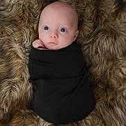 Austin is registered to the contest to win money with this photo: baby, infant, swaddled, black_cloth, fur_blanket, wide_eyes, curious, portrait, close_up, newborn, cute, soft_texture, skin, head, hand, lying_down, indoors, peaceful, young_child, baby_face