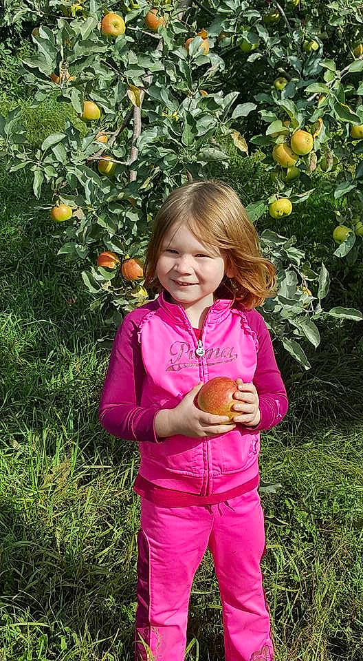 Kinzleigh is registered to the contest to win money with this photo: apple, child, citrus, flower, flowering_plant, food, fruit, fruit_tree, grass, joy, malus, mandarin_orange, orange, person, plant, produce, rose_family, tangerine, toddler