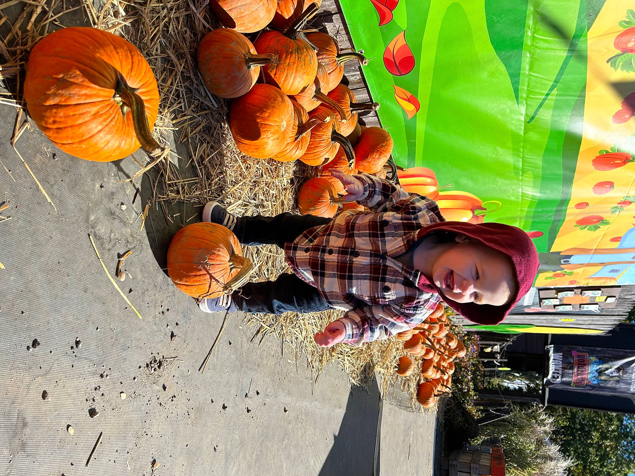 Kamden joined the competition — help win amazing prizes! adaptation, calabaza, cucurbita, fruit, gourd, happy, leaf, natural_foods, orange, organism, pattern, person, plant, produce, pumpkin, smile, squash, tints_and_shades, vegetable, winter_squash