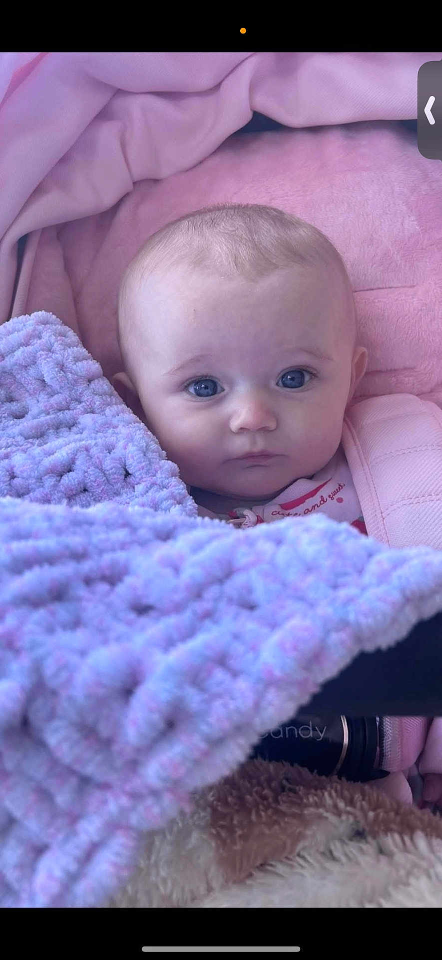 Delilah is registered to the contest to win money with this photo: baby, blanket, purple, pink, soft, cozy, infant, face, child, portrait, cute, warm, expression, wrapped, plush, clothing, indoors, newborn, head, young