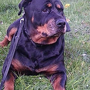 Aika participe au concours pour gagner de l'argent avec cette photo :