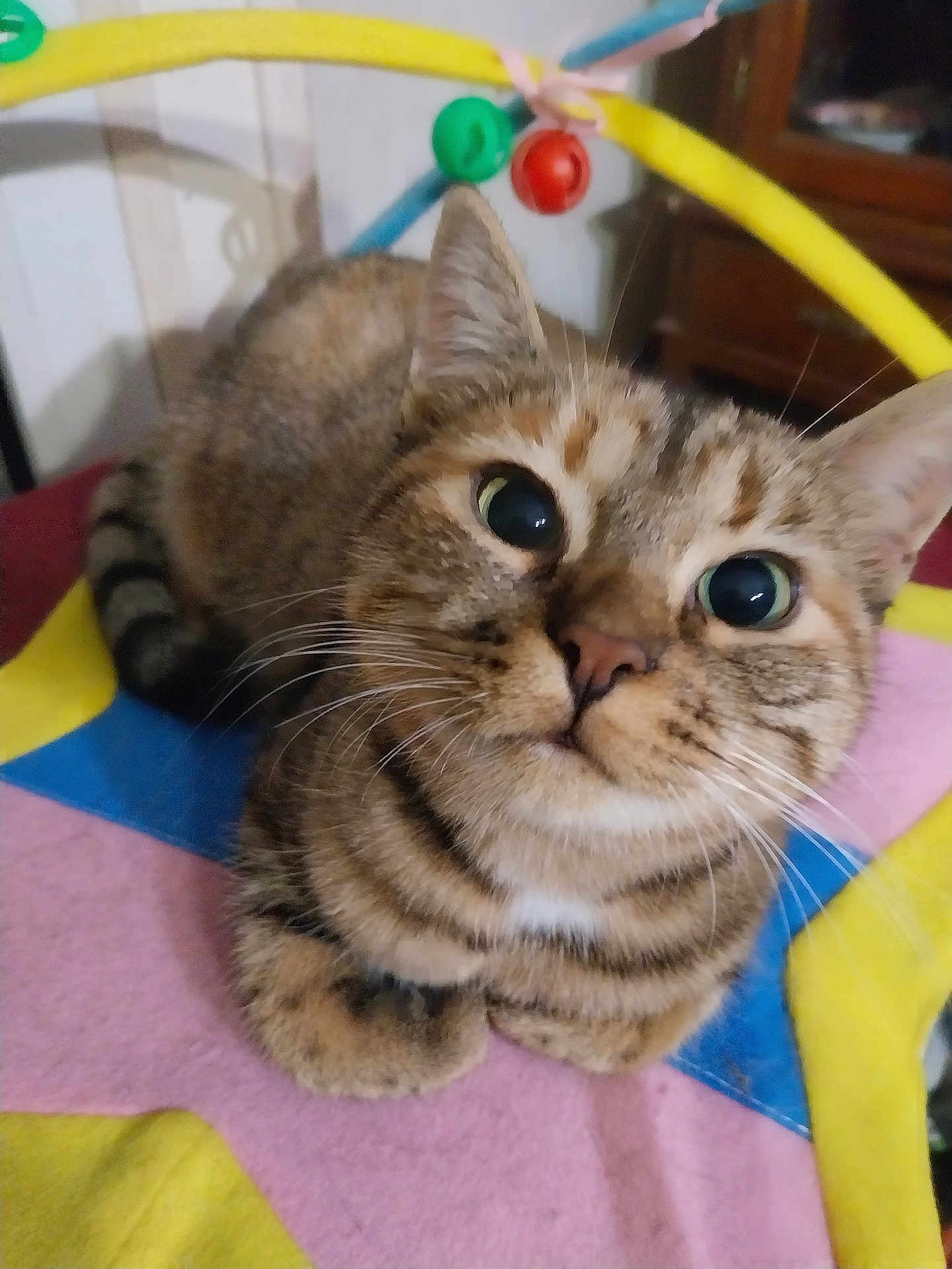Mimi