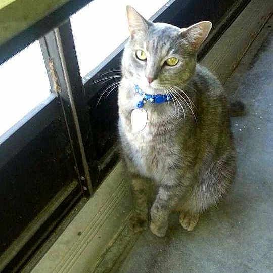 Chloe