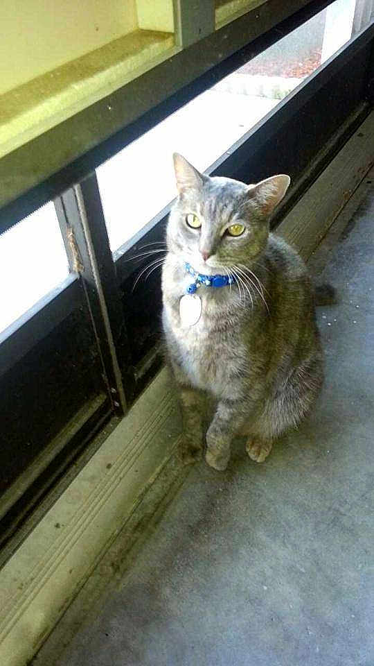 Chloe