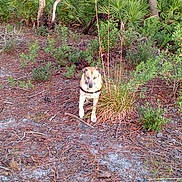 Sassy is registered to the contest to win money with this photo: