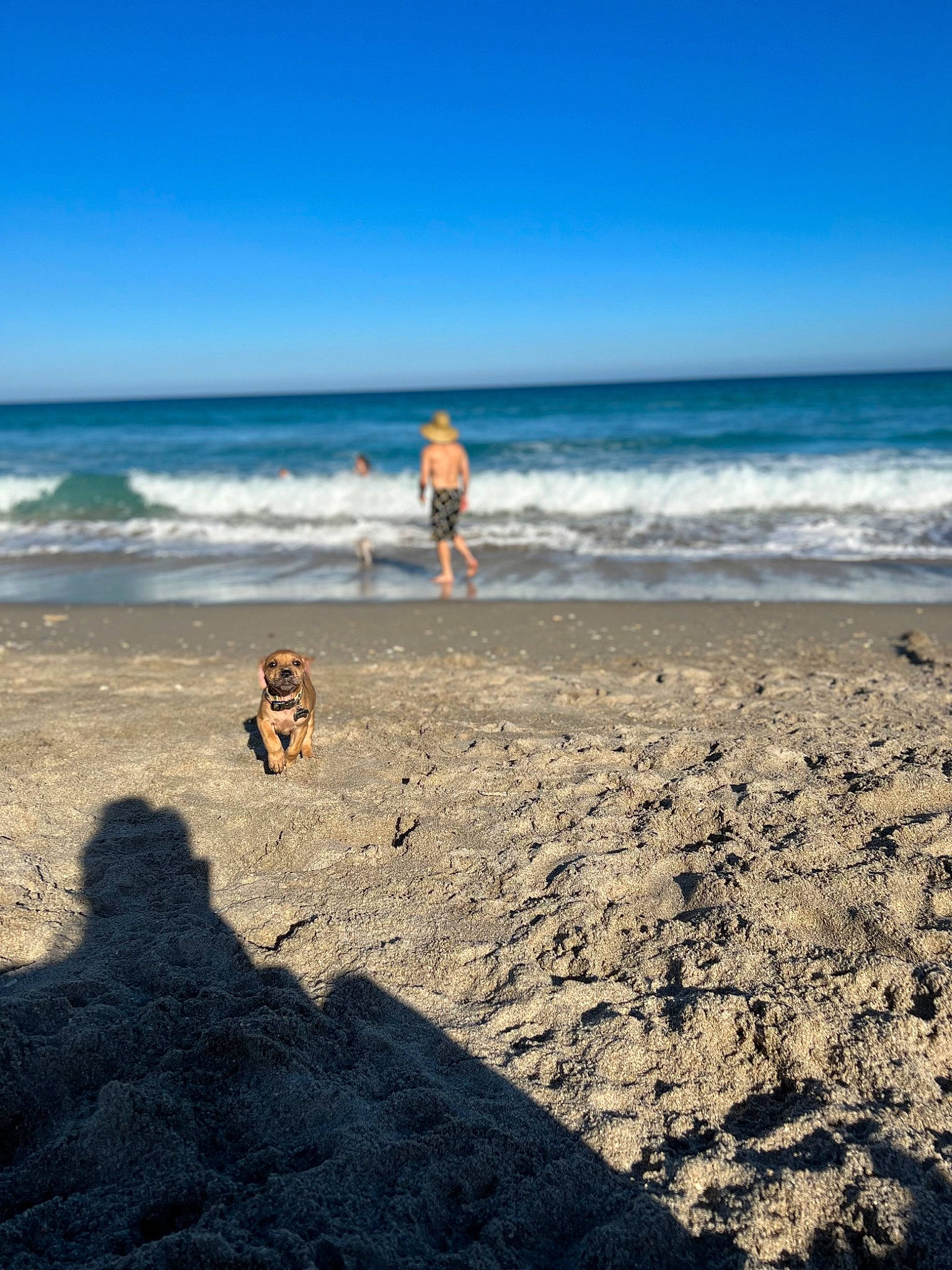 Cane is registered to the contest to win money with this photo: beach, body_of_water, calm, cloud, coastal_and_oceanic_landforms, ecoregion, fun, horizon, human_leg, landscape, leg, leisure, people_in_nature, people_on_beach, shore, sky, sunlight, water, wind_wave, wood