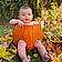 Aaron