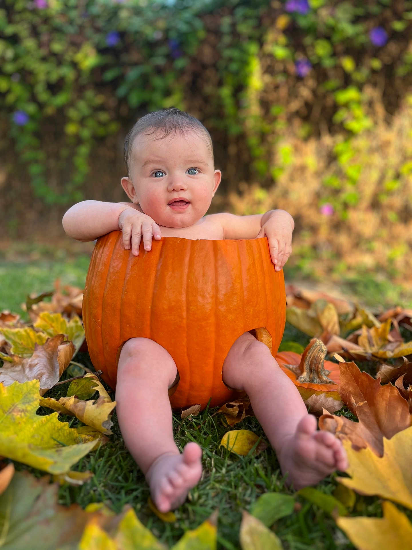 Aaron is registered to the contest to win money with this photo: baby, pumpkin, autumn_leaves, grass, outdoor, child, fall, cute, nature, seasonal, smiling, portrait, leaf, orange, green, skin, sitting, playful, holiday, baby_face