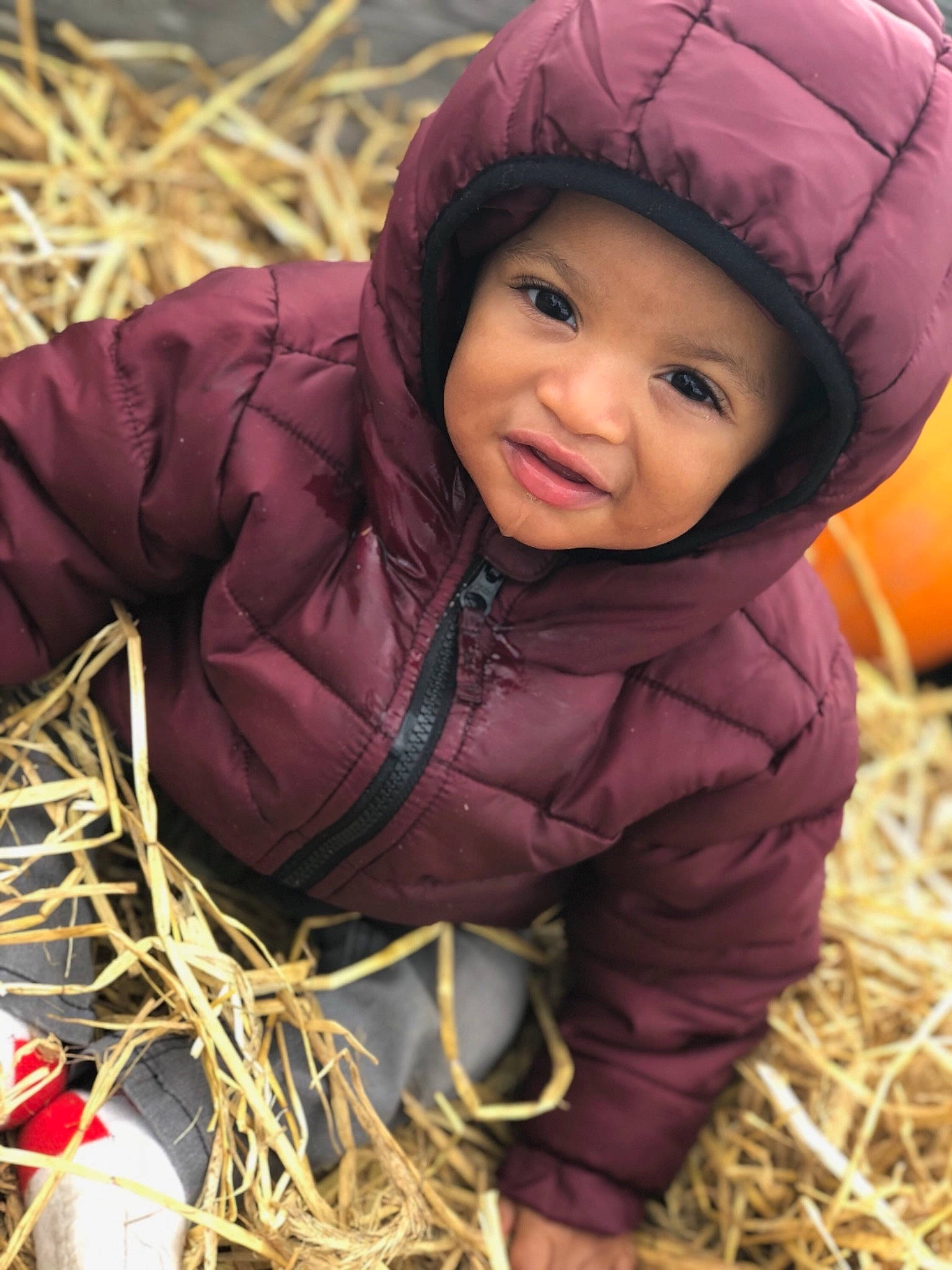 Marques is registered to the contest to win money with this photo: agriculture, child, hay, headwear, person, plant, smile, straw, toddler