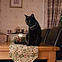 animal, black_cat, candle, candle_holder, cat, cat_statue, chair, cozy, curtains, decorative_centerpiece, dining_table, home_interior, indoor, leather_chair, patterned_curtains, pet, picture_frame, table, table_runner, wooden_table