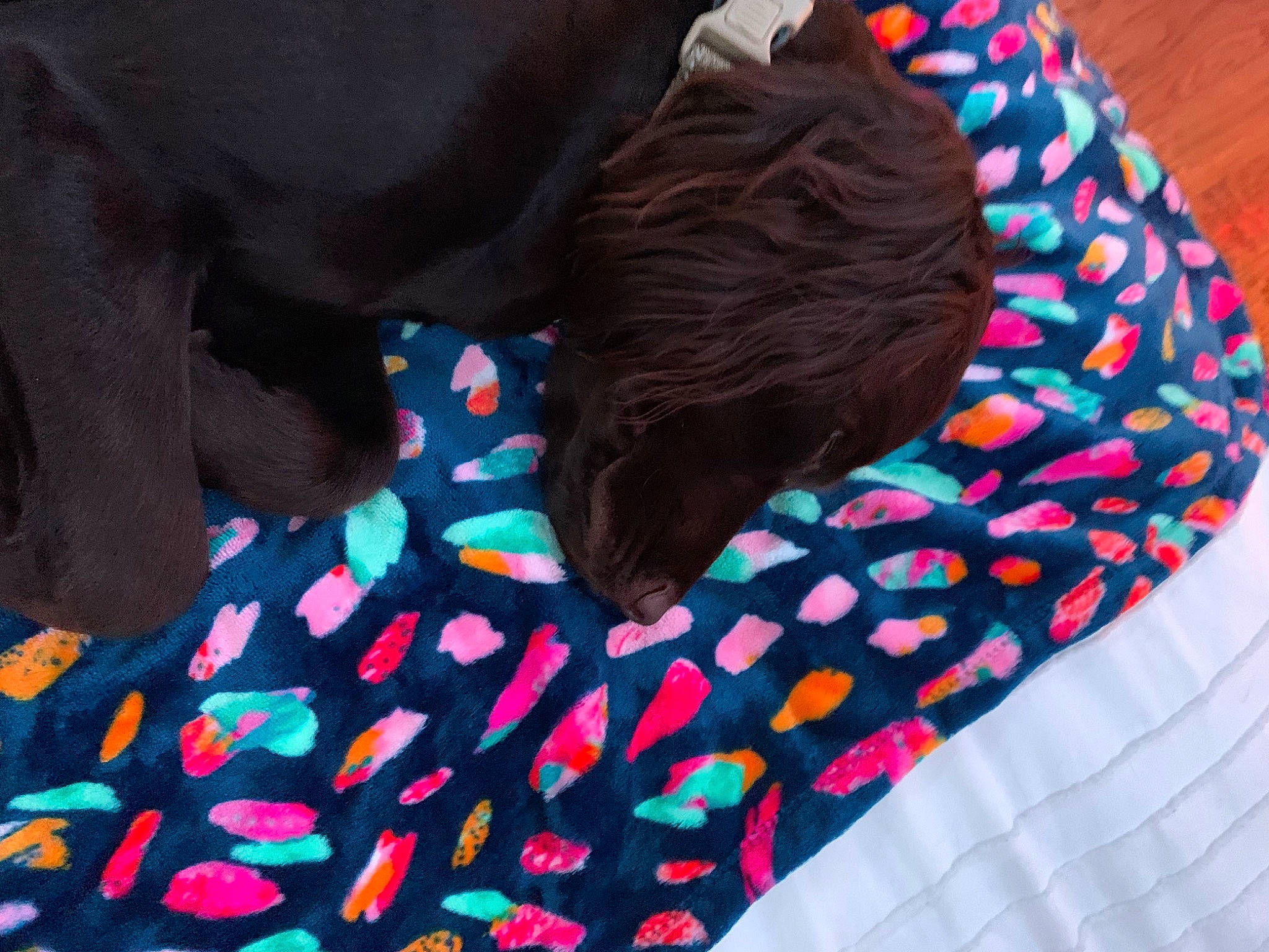 River is registered to the contest to win money with this photo: baby_toddler_clothing, bed_sheet, bedding, comfort, fashion_accessory, headgear, human_leg, linens, liver, magenta, pattern, pink, red, sleeve, t_shirt, textile, tints_and_shades, vertebrate, wool, woolen