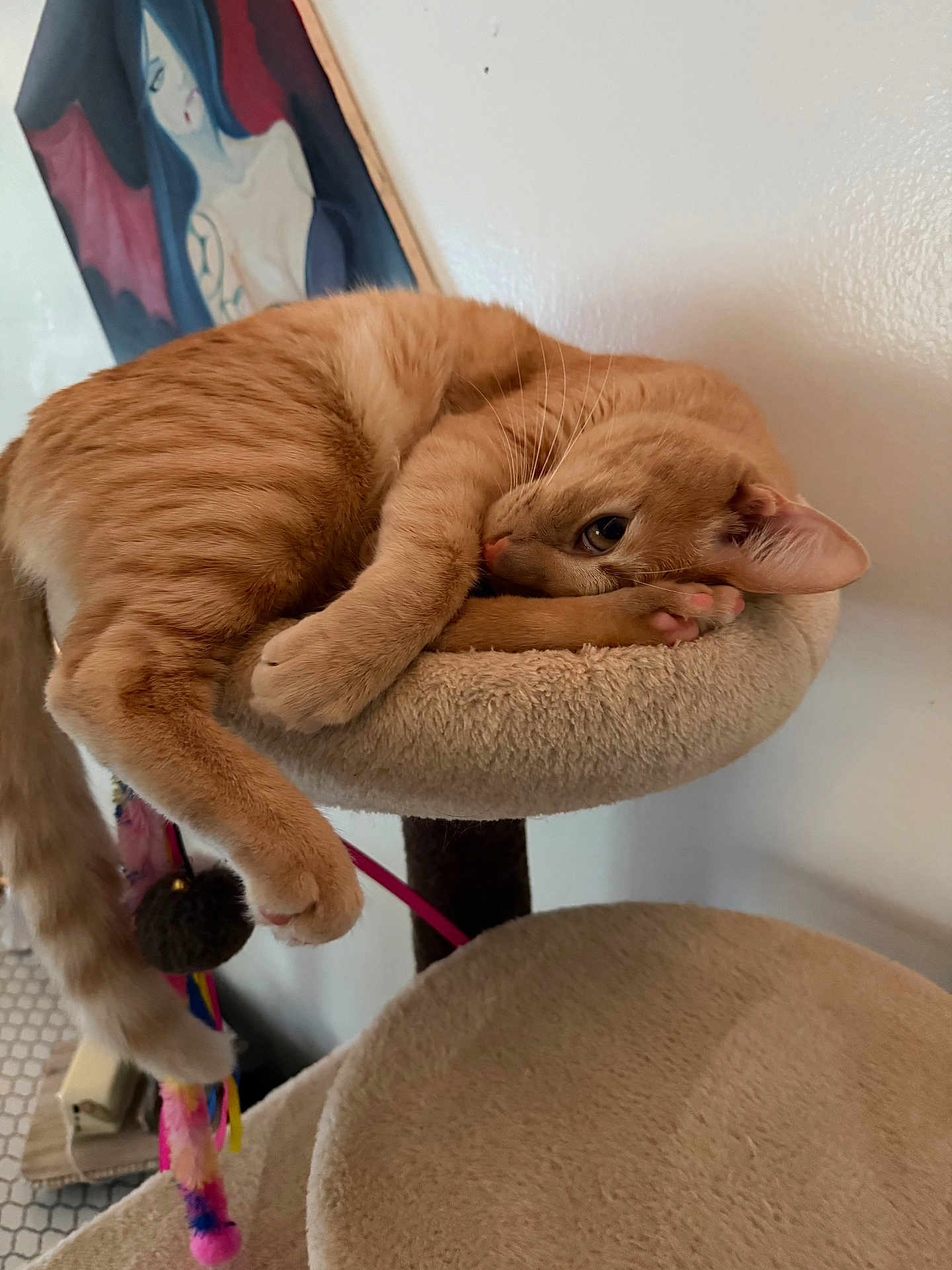 Leo