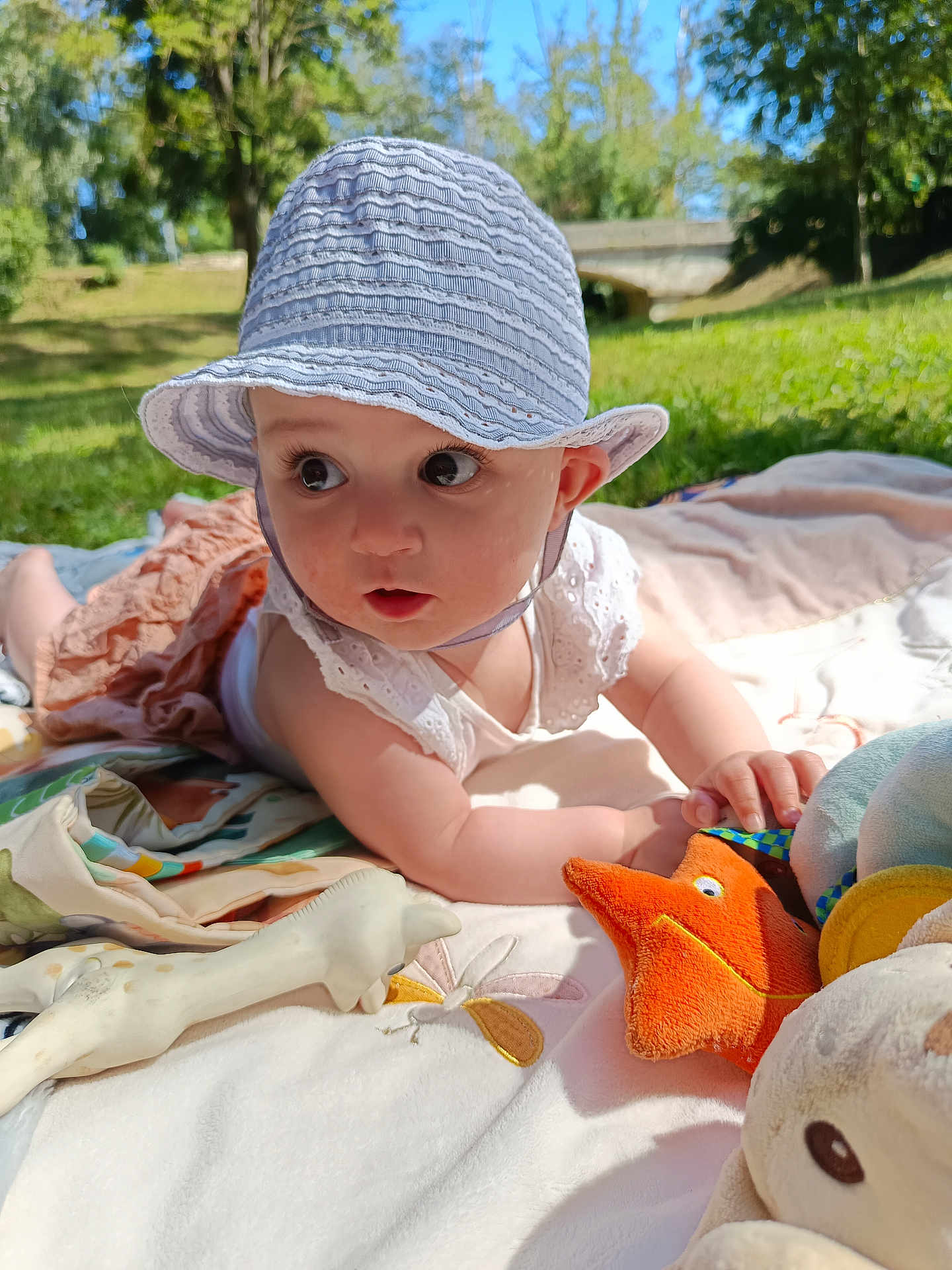 Aria participe au concours pour gagner de l'argent avec cette photo : baby, hat, plush_toy, starfish, blanket, outdoor, grass, sunlight, child, wide_eyes, curious, summer, nature, toy, cuteness, soft_toy, playtime, portrait, infant, relaxing