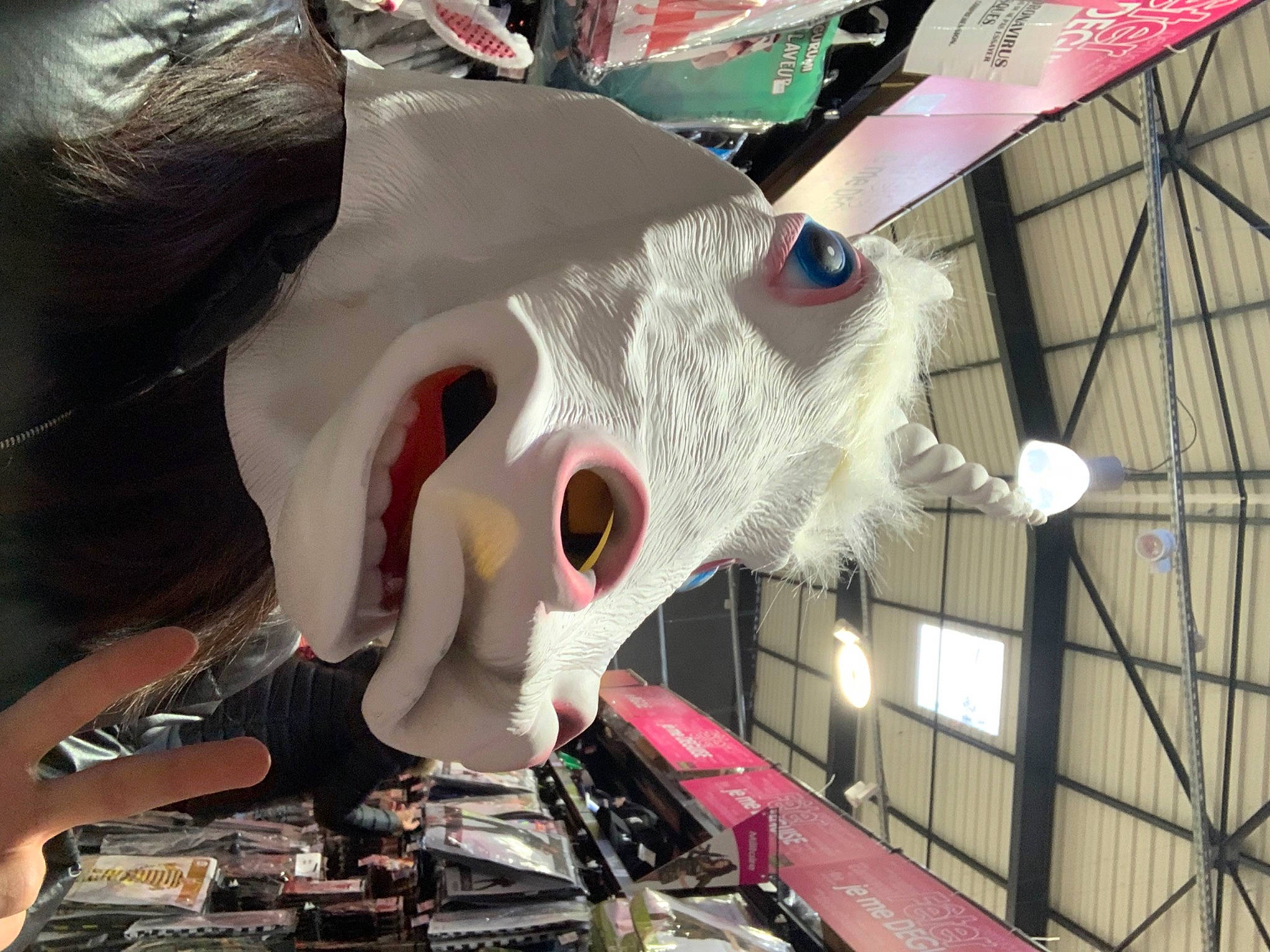 Sawako participe au concours pour gagner de l'argent avec cette photo : animation, art, auto_part, automotive_design, carmine, costume, event, festival, fiction, fictional_character, fun, fur, mascot, mask, plastic, public_event, skull, sunglasses, toy