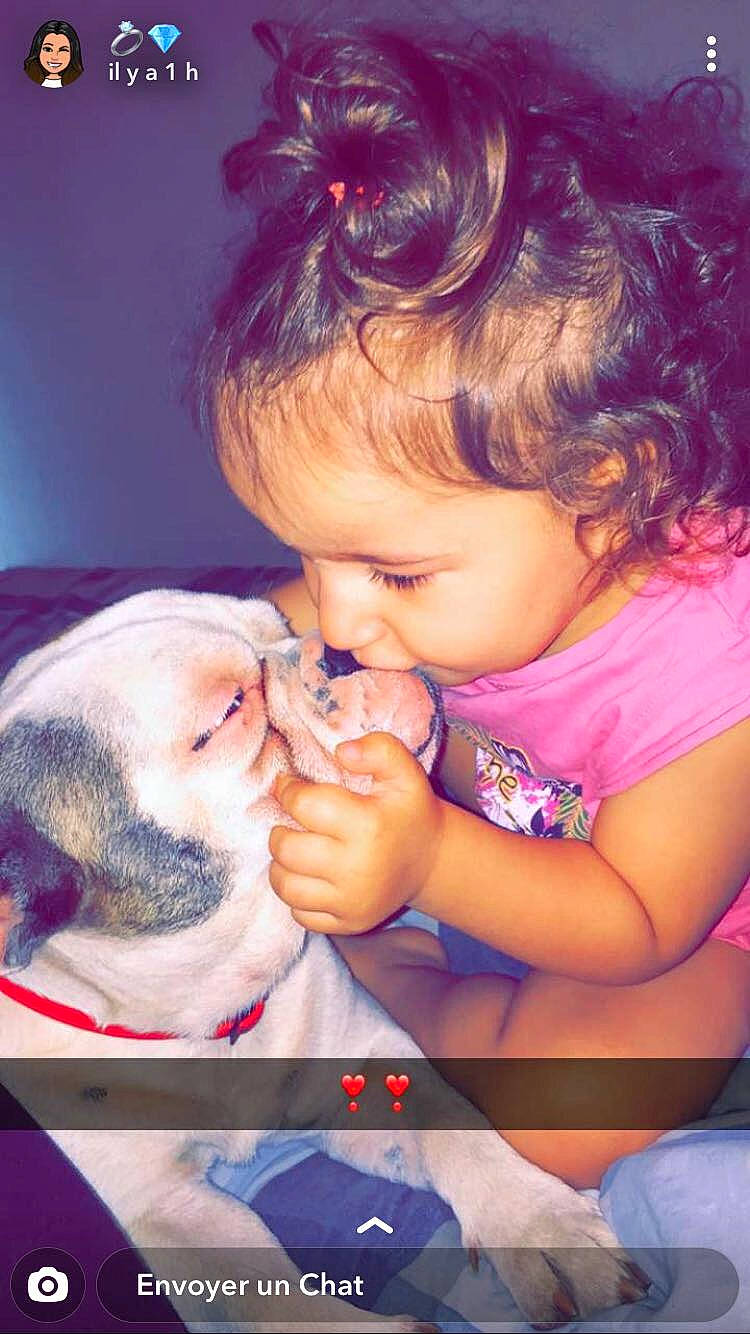 Snow a rejoint le concours — aidez-le/la à gagner de superbes lots ! canidae, cheek, child, companion_dog, dog_breed, ear, fawn, interaction, love, nose, puppy, puppy_love, toddler