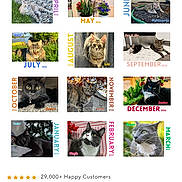 Vader is registered to the contest to win money with this photo: cat, calendar, website, screenshot, text, sale, month, grid, animal, pet, photo, image, promotion, shopping, product, advertisement, layout, colorful, digital, screen