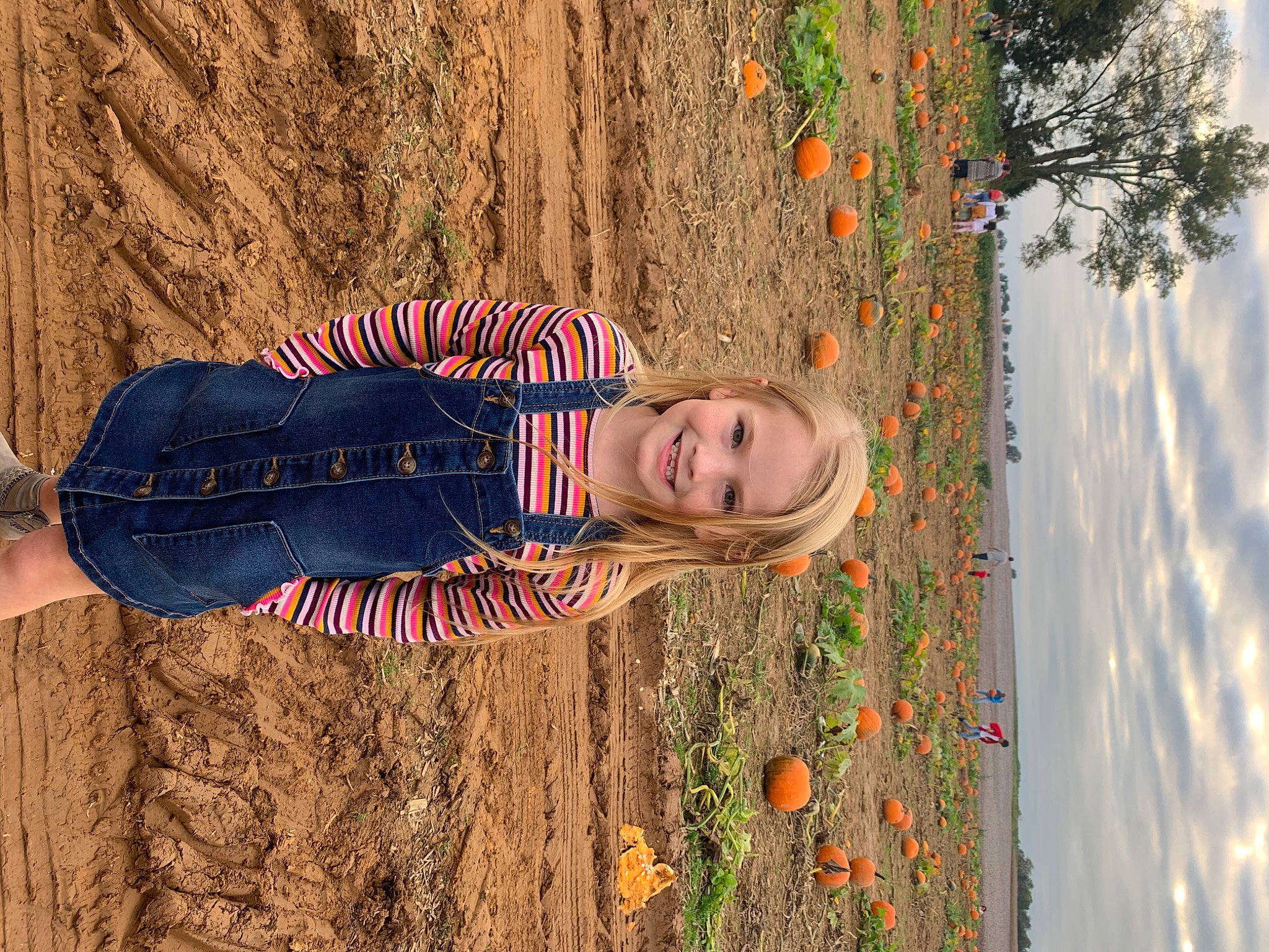 Brynnley is registered to the contest to win money with this photo: autumn, child, fawn, fun, joy, leaf, person, photography, plant, smile, tree, vacation, wood, woody_plant