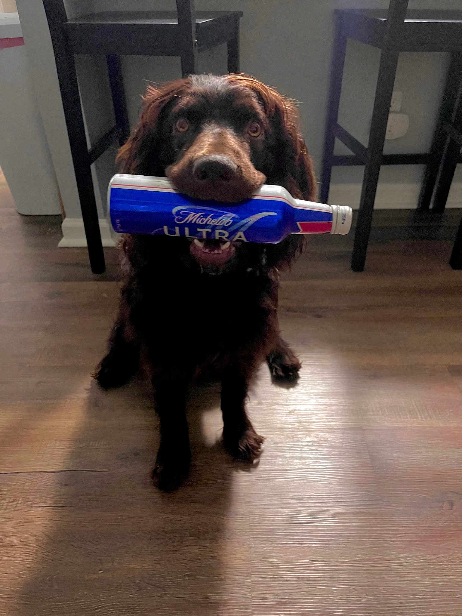 Tiko