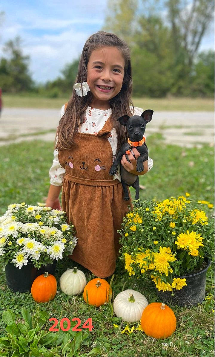 Gabriella joined the competition — help win amazing prizes! child, face, female, festival, flower, food, girl, grass, halloween, head, jar, outdoors, person, photography, plant, portrait, pottedplant, produce, squash, vegetable