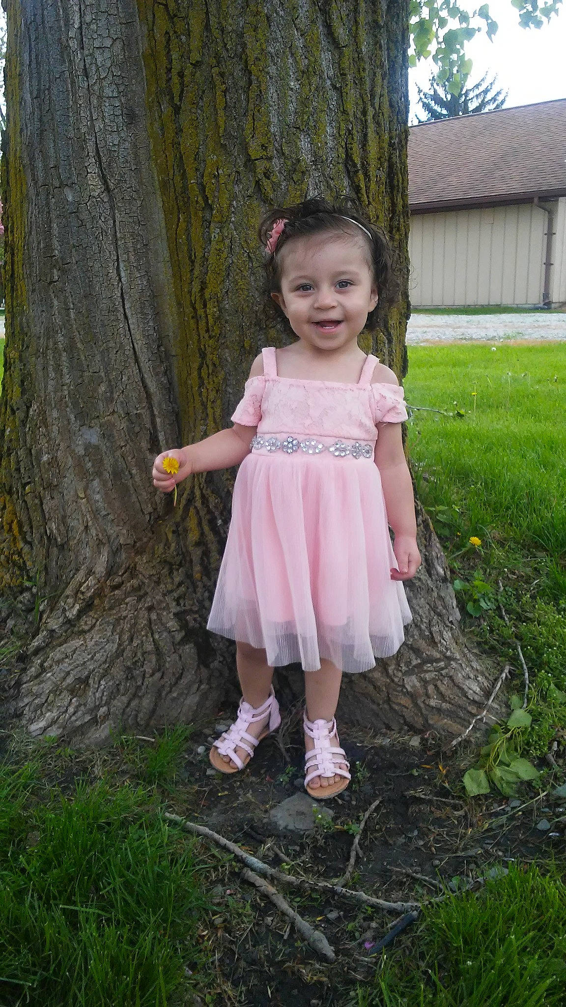 Kahlini joined the competition — help win amazing prizes! child, child_model, dress, grass, joy, pattern, person, pink, plant, smile, spring, standing, toddler, tree, trunk