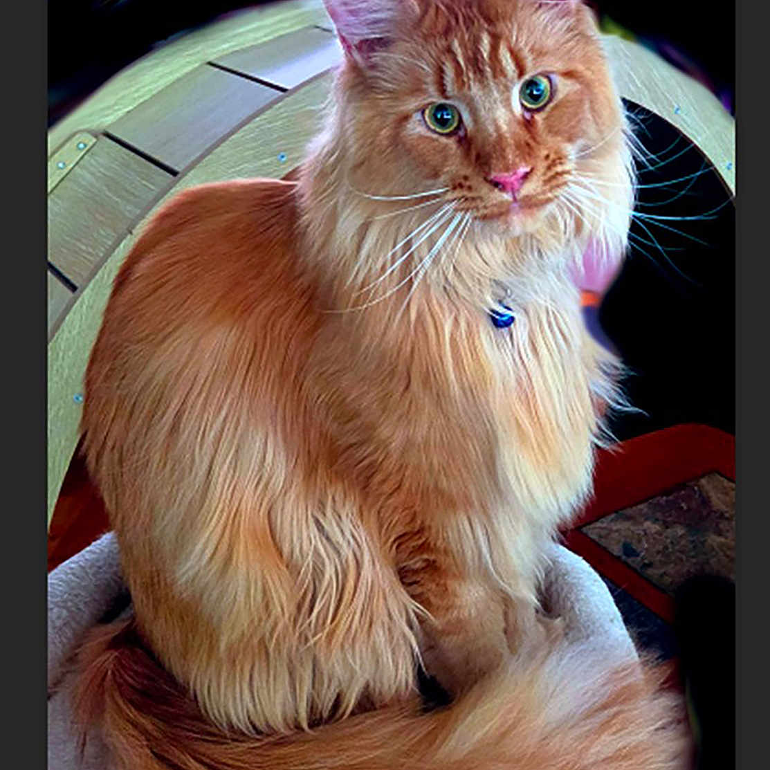 Copper
