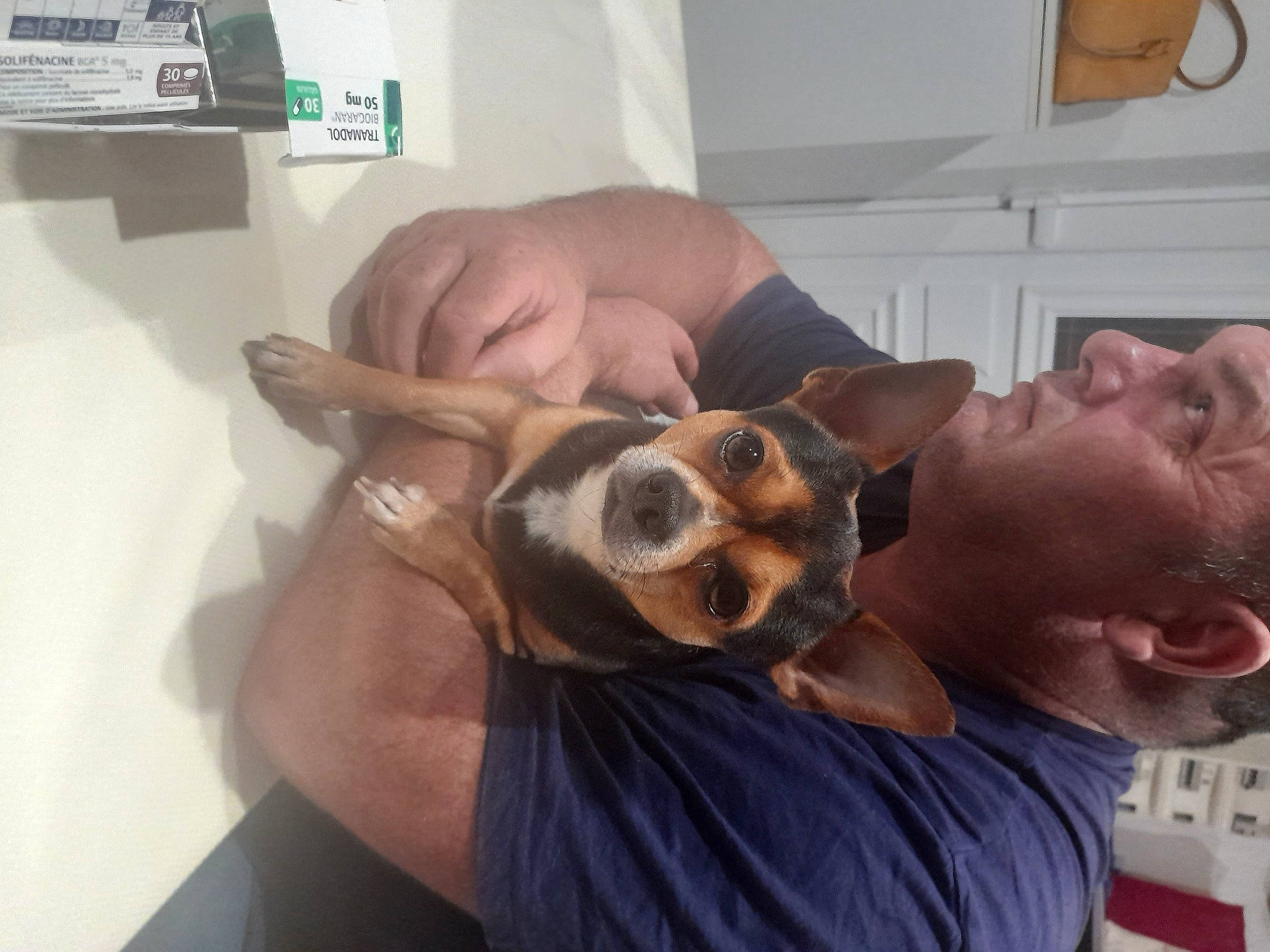 Louane participe au concours pour gagner de l'argent avec cette photo : canidae, carnivore, comfort, companion_dog, dog, dog_breed, ear, eyewear, fawn, fur, headwear, person, picture_frame, puppy, puppy_love, snout, sporting_group, sunglasses, vision_care, whiskers