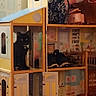 Bug is registered to the contest to win money with this photo: black_cat, cat, dollhouse, miniature, indoor, pet, animal, furniture, door, window, carpet, curious, small_space, home_decor, toy_house, domestic_cat, sitting, cozy, patterned, room