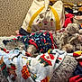 Daisy Mae is registered to the contest to win money with this photo: bed, blanket, colorful, cozy, cute, dog, fabric, floor, fur, holiday, indoor, pajamas, patterned_wall, plush, relaxed, resting, sleeping, soft, stuffed_animal, tote_bag