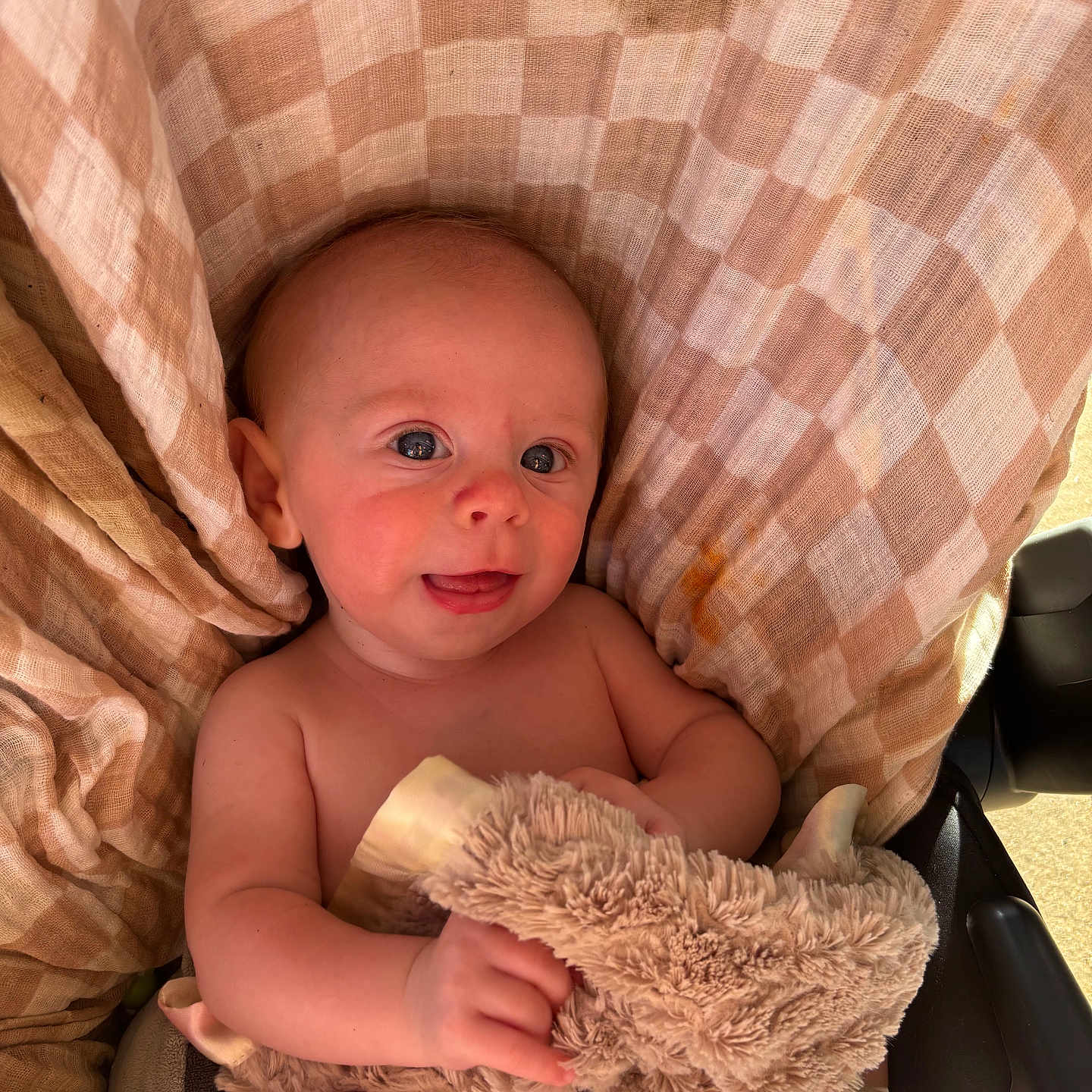 Ryland