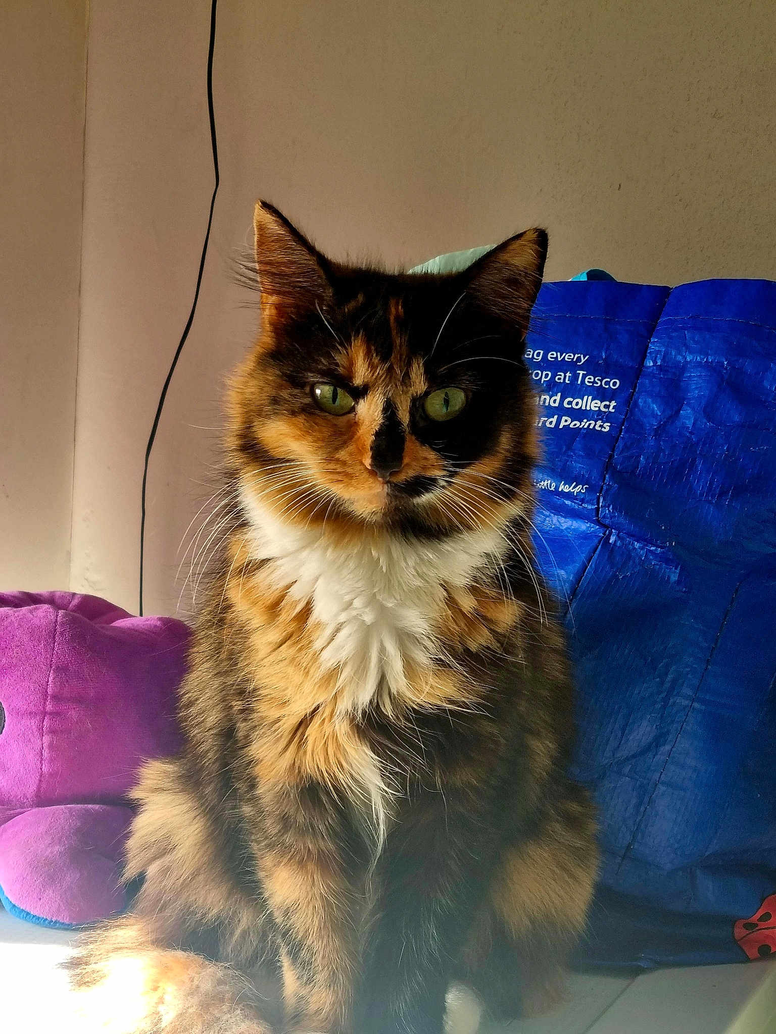 Mia