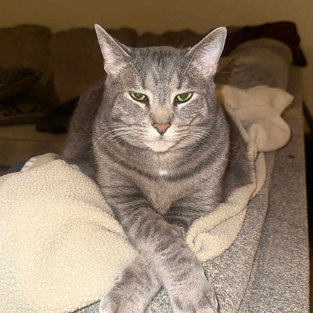 Ella