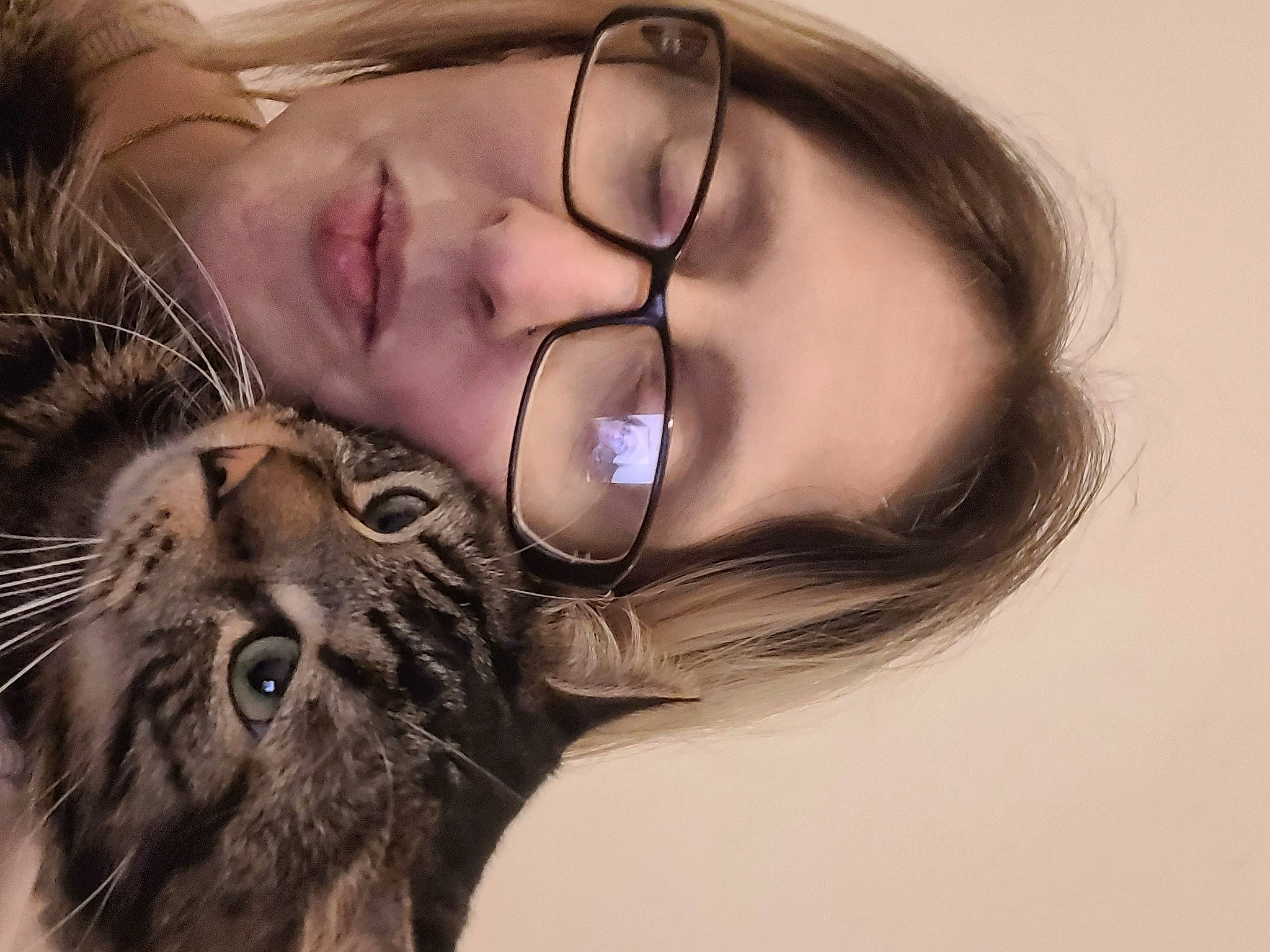 Diego a rejoint le concours — aidez-le/la à gagner de superbes lots ! carnivore, cat, comfort, cool, ear, eyelash, eyewear, face, felidae, gesture, glasses, happy, iris, jaw, mouth, neck, nose, skin, small_to_medium_sized_cats, vision_care