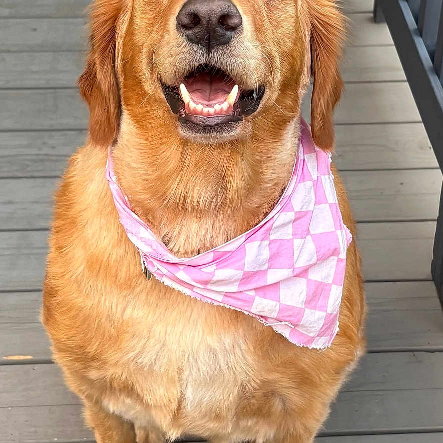 Charley