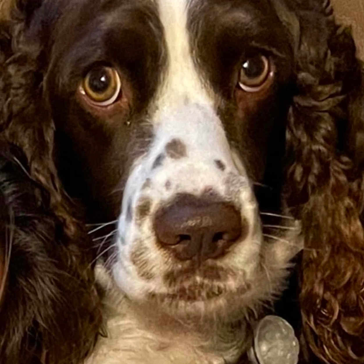 Molly