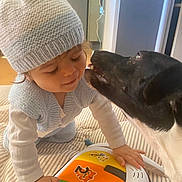 Bobby a rejoint le concours — aidez-le/la à gagner de superbes lots ! baby, dog, toy, hat, knitted, vest, bed, striped, indoor, black_and_white_dog, playing, child, closeup, interaction, cute, smiling, furniture, floor, home, warm