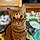 Tigger