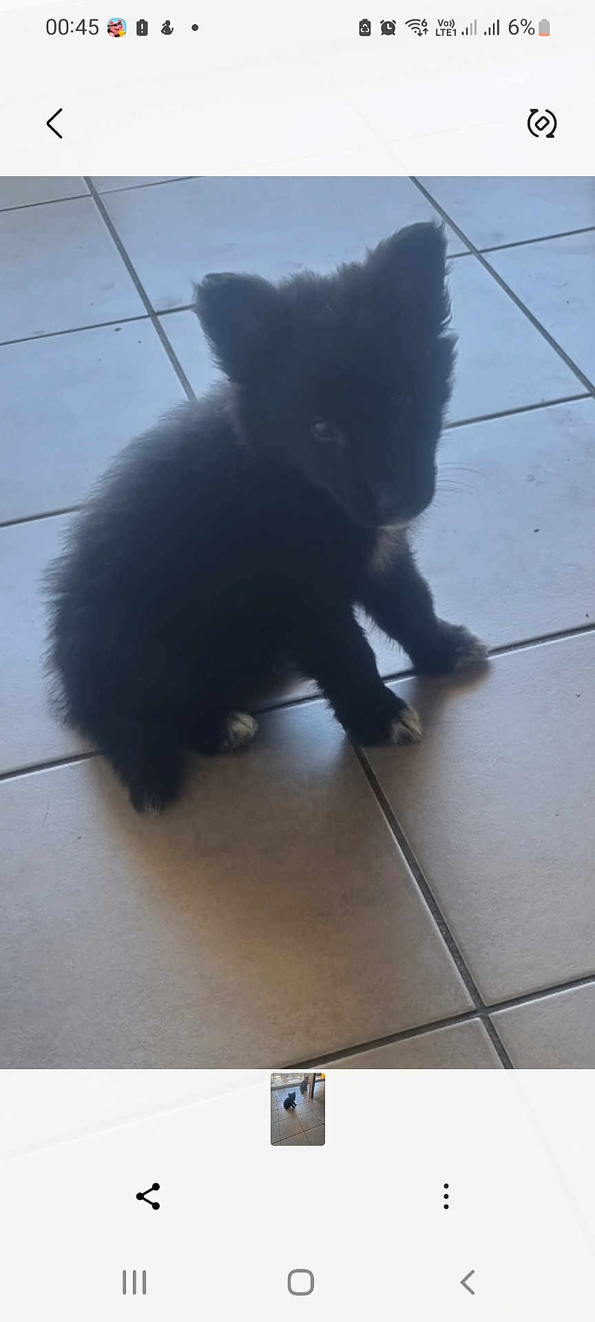 Aïko