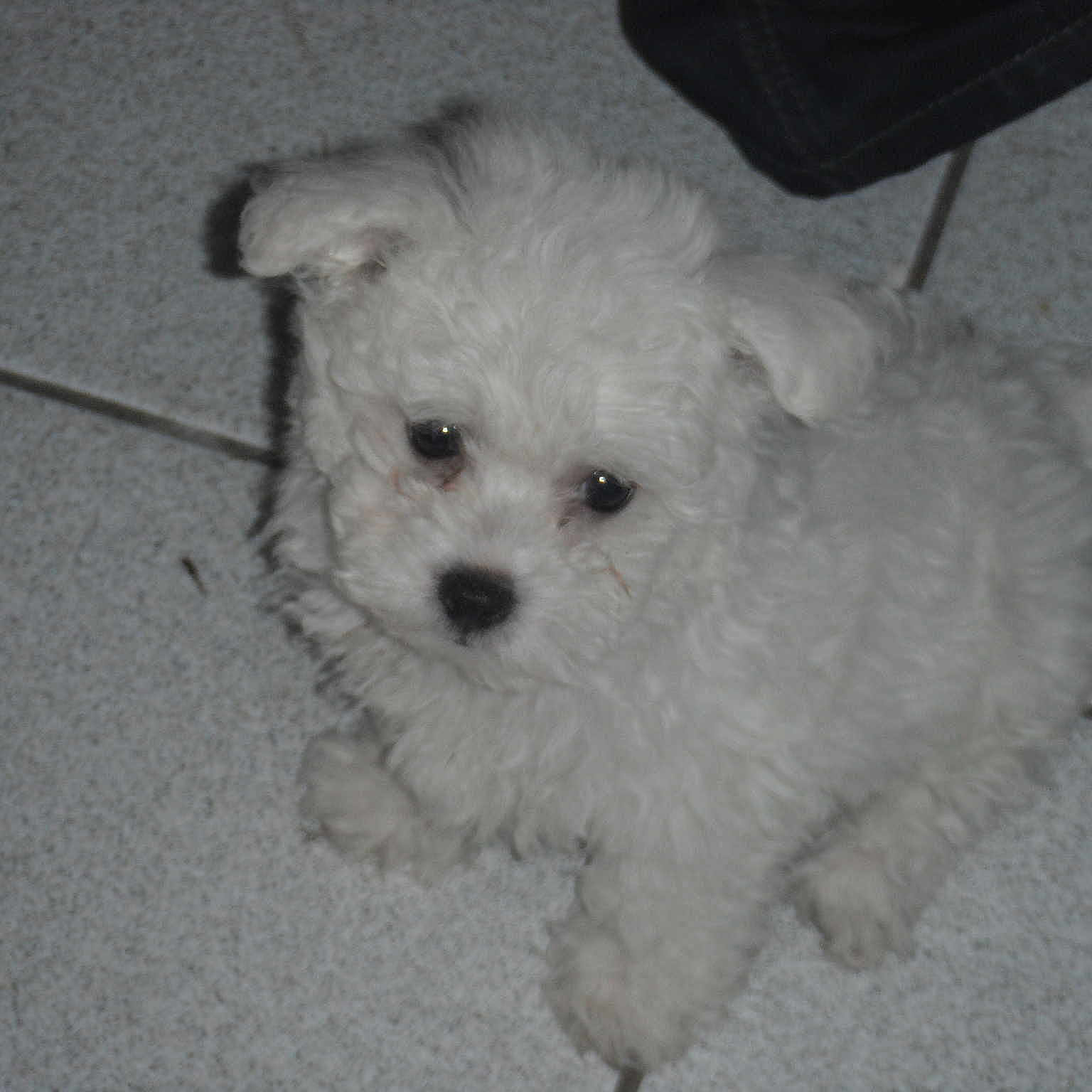 Hugo a rejoint le concours — aidez-le/la à gagner de superbes lots !