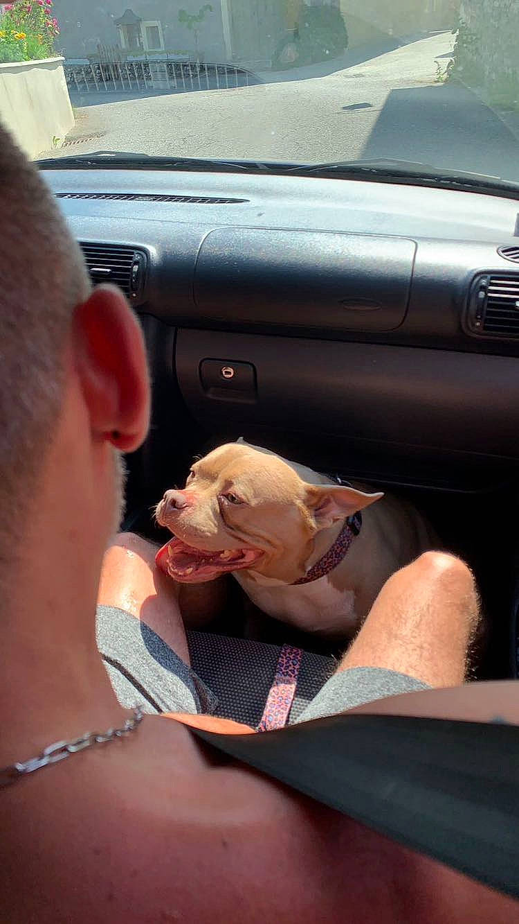 Pyper a rejoint le concours — aidez-le/la à gagner de superbes lots ! auto_part, automotive_design, automotive_exterior, automotive_window_part, car, car_seat, chest, event, eyewear, family_car, gesture, glass, hand, luxury_vehicle, mammal, motor_vehicle, personal_luxury_car, vehicle_door, vertebrate, windshield