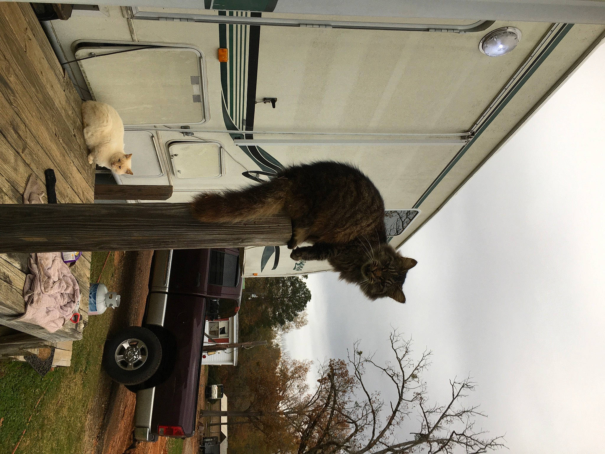 Scar joined the competition — help win amazing prizes! auto_part, automotive_exterior, automotive_tire, automotive_wheel_system, building, bumper, door, fender, machine, metal, motor_vehicle, plant, sky, tire, tree, vehicle, vehicle_door, wheel, window, wood